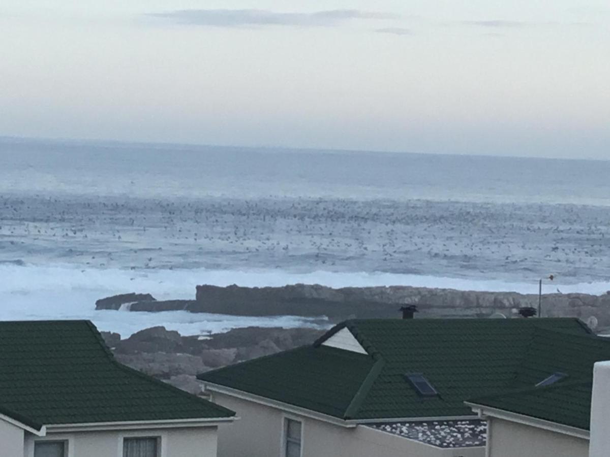 Apartament 43 Whale Rock Estate Hermanus Zewnętrze zdjęcie